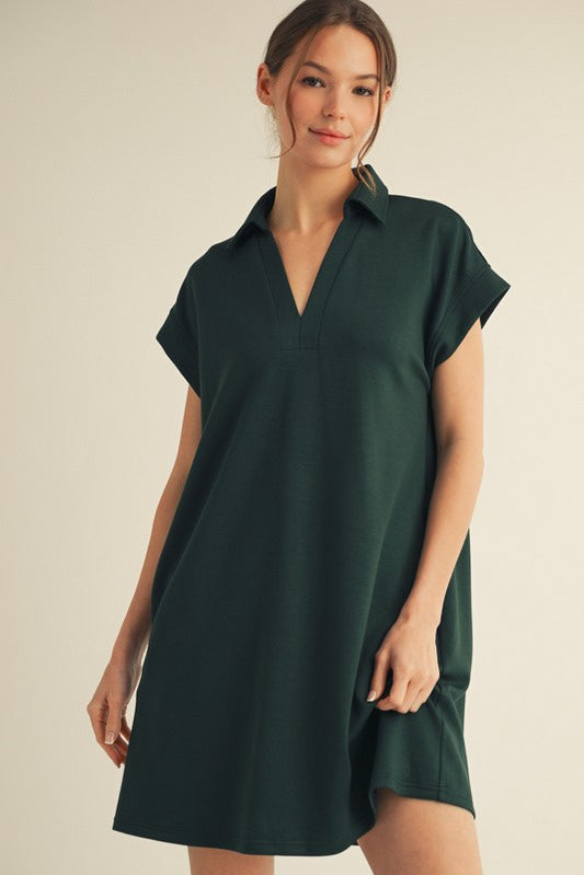 Vanessa Collared Dress