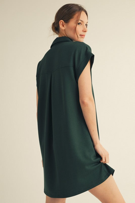 Vanessa Collared Dress